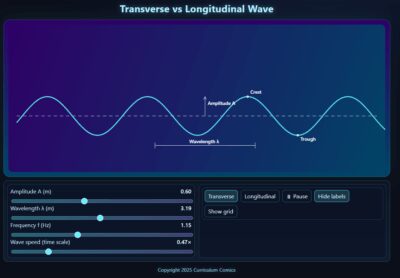 Transverse Waves vs Longitudinal Waves
